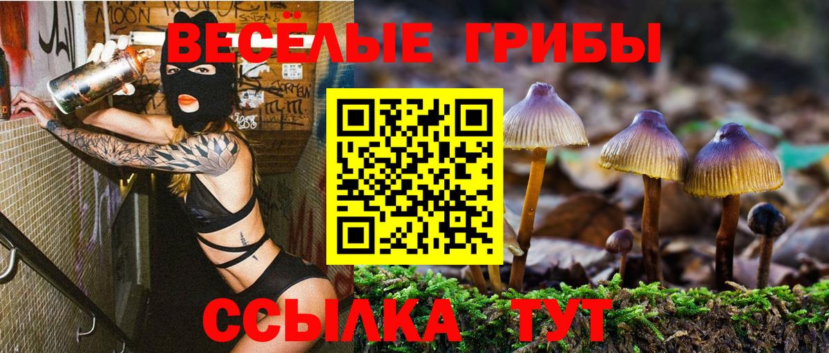 Галлюциногенные грибы Psilocybine cubensis Урай