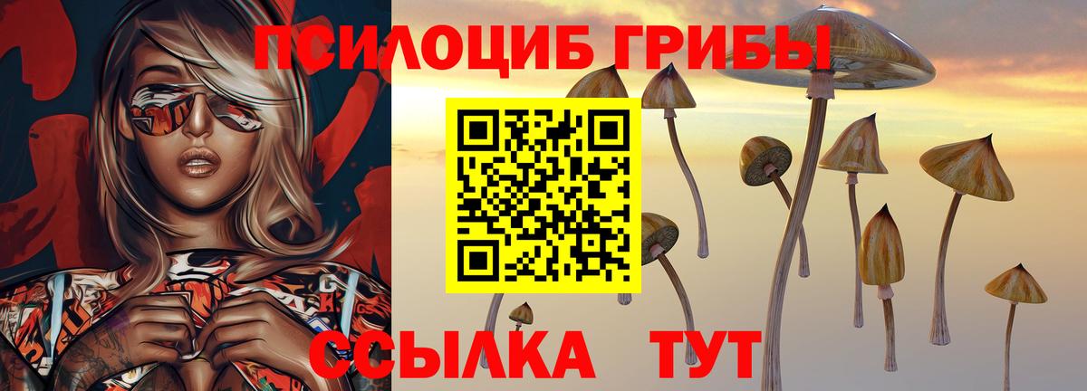 Псилоцибиновые грибы мухоморы  Галлюциногенные грибы Psilocybe  Урай  купить наркоту  Вход с VPN 